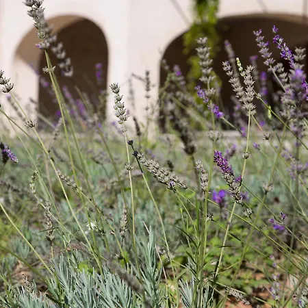 Tatil Evi 1784 Domaine De Lourmarin